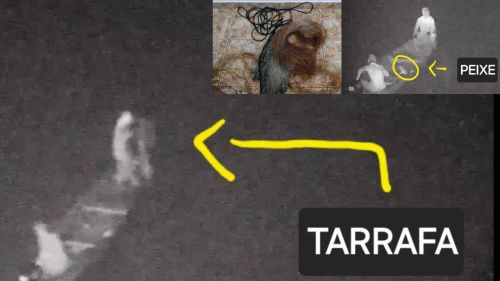 Polícia Militar Ambiental autua dois homens por pesca em local proibido em Pirassununga