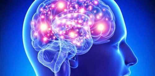 Artigo do Coronel Valmor Saraiva Racorti: A neurociência e o agir policial