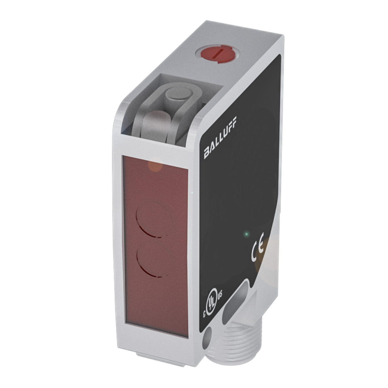 Microchip