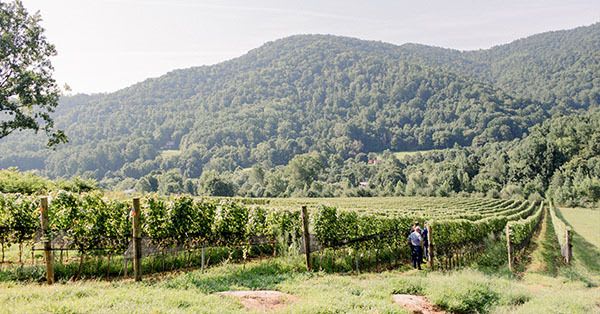 wine-enthusiast-nominates-early-mountain-american-winery-of-the-year-2018