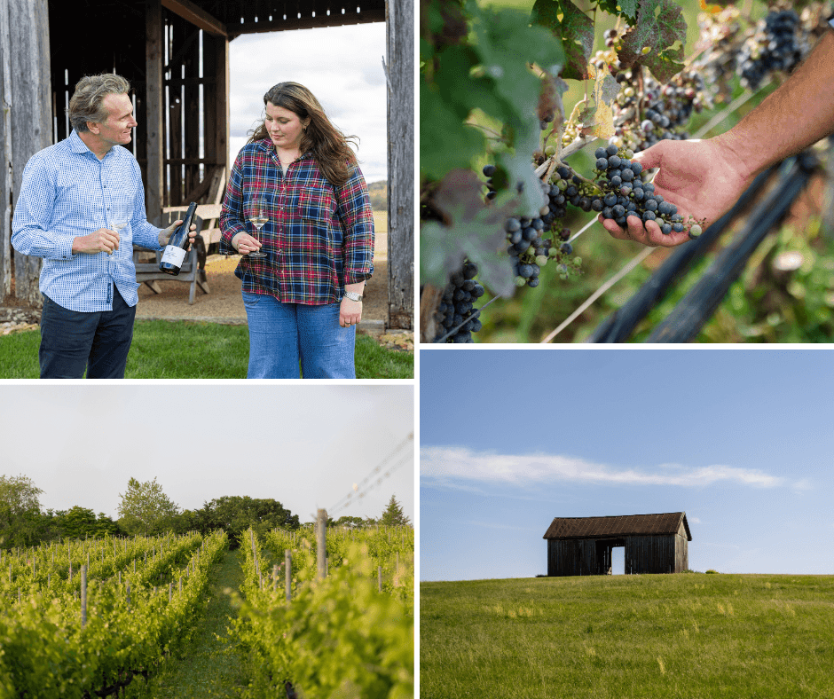 in-the-vineyard-with-maya-hood-white-and-jon-ruel