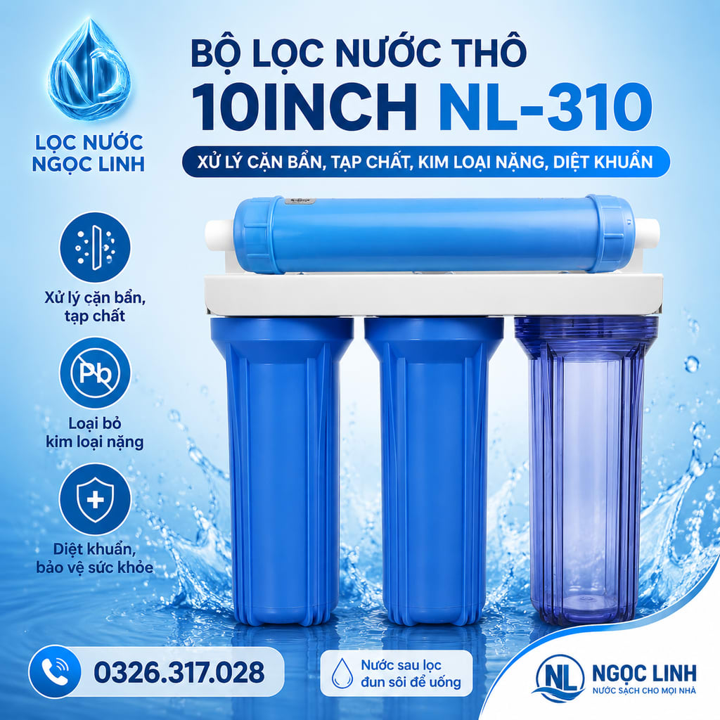 Bộ Lọc Nước Thô 10 Inch NL-310