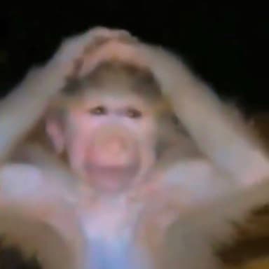 Ch*d Gaye Guru meme template