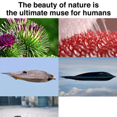 natures beauty