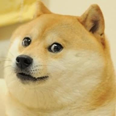 Doge meme template: A Shiba Inu dog with a hesitant, slightly worried expression.
