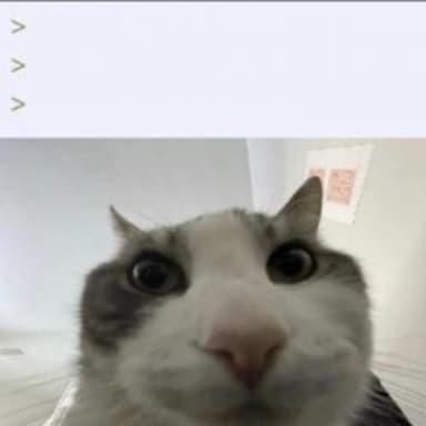 Cat Looks Inside meme template: A cat's face fills the bottom half of the image, looking directly at the camera with wide, curious eyes. The top half is blank, often used for text.