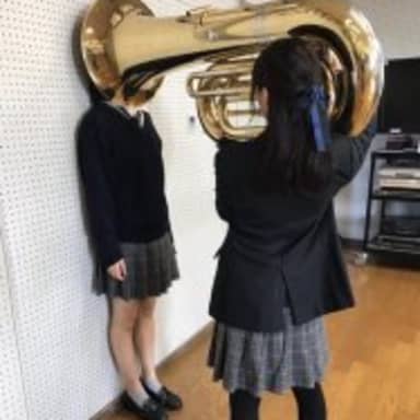 Girl Putting Tuba On Girl's Head meme template
