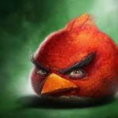 Realistic Red Angry Birds meme template