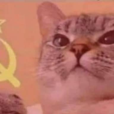Communist Cat meme template: A cat with wide eyes and a determined expression, superimposed on a red background with the Soviet hammer and sickle symbol.