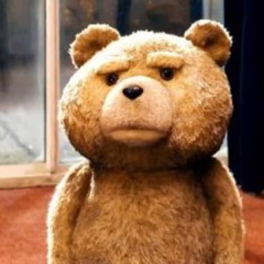 TED meme template
