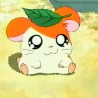 Hamtaro meme template