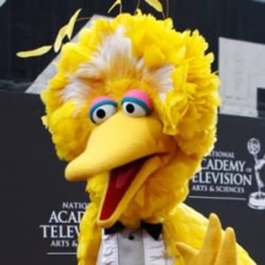 Big Bird meme template: A close-up of Big Bird's face, looking surprised or concerned.
