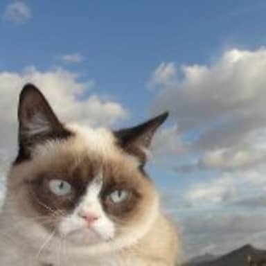 Grumpy Cat Sky meme template