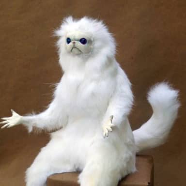 Persian Cat Room Guardian meme template