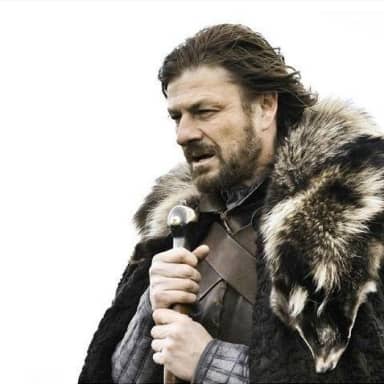 Brace Yourselves X Is Coming meme template: Ned Stark from Game of Thrones, looking grim with a sword in hand, wearing fur.