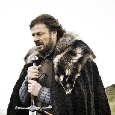 Brace Yourself meme template: A man in medieval attire, holding a sword and wearing a fur-lined cloak, looks determined and ready for action.