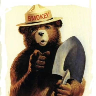 Smokey The Bear meme template