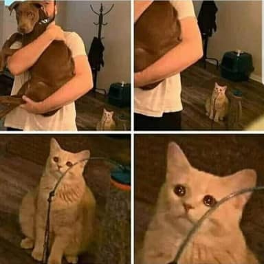 Sad Cat Holding Dog meme template