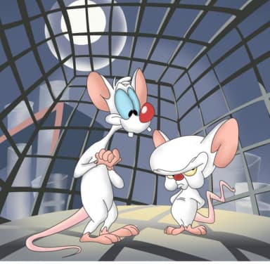 Pinky And The Brain meme template: Pinky and the Brain create a two-character contrast between an ambitious plan and a less predictable response to the plan.