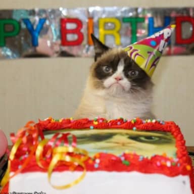 Grumpy Cat Birthday meme template