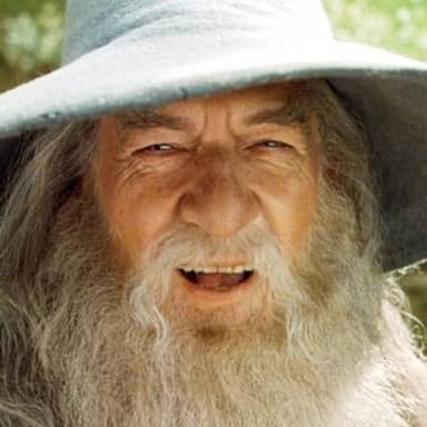 A Wizard Is Never Late meme template: Close-up of Gandalf the Grey's face from The Lord of the Rings, featuring his iconic hat, beard, and a knowing, slightly mischievous expression.