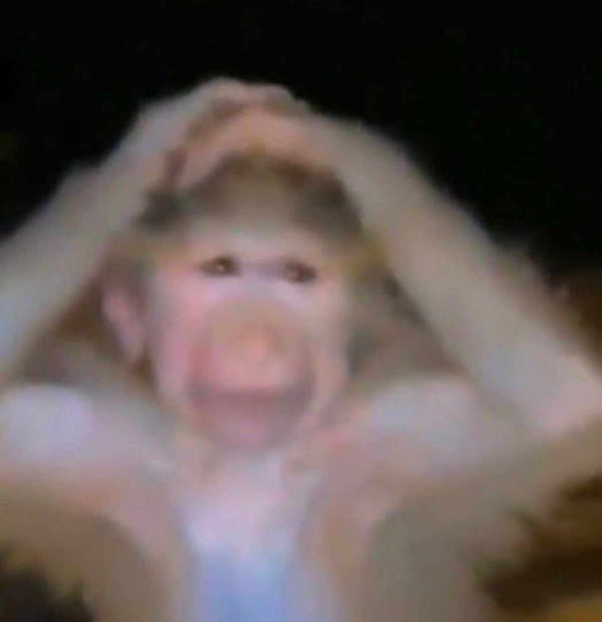 Ch*d Gaye Guru meme template
