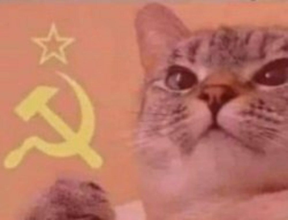 Communist Cat meme template: A cat with wide eyes and a determined expression, superimposed on a red background with the Soviet hammer and sickle symbol.