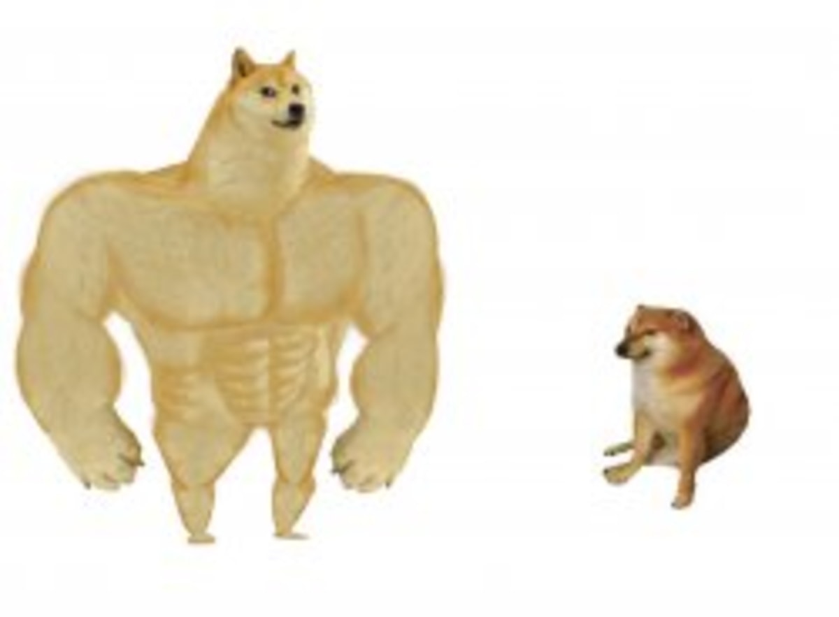 Big Dog Small Dog meme template: A muscular, imposing dog stands tall next to a small, timid dog.