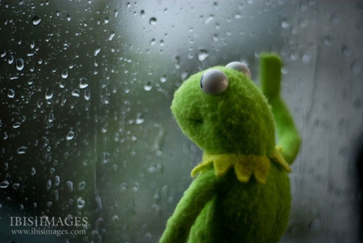 Kermit Window meme template
