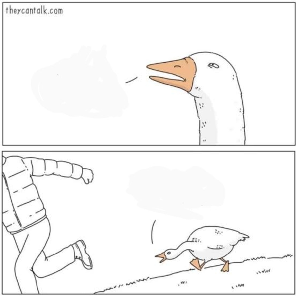 Angry Goose meme template: A two-panel comic. The top panel shows a goose's head speaking into a thought bubble. The bottom panel shows a person running away from an angry goose that is chasing them.