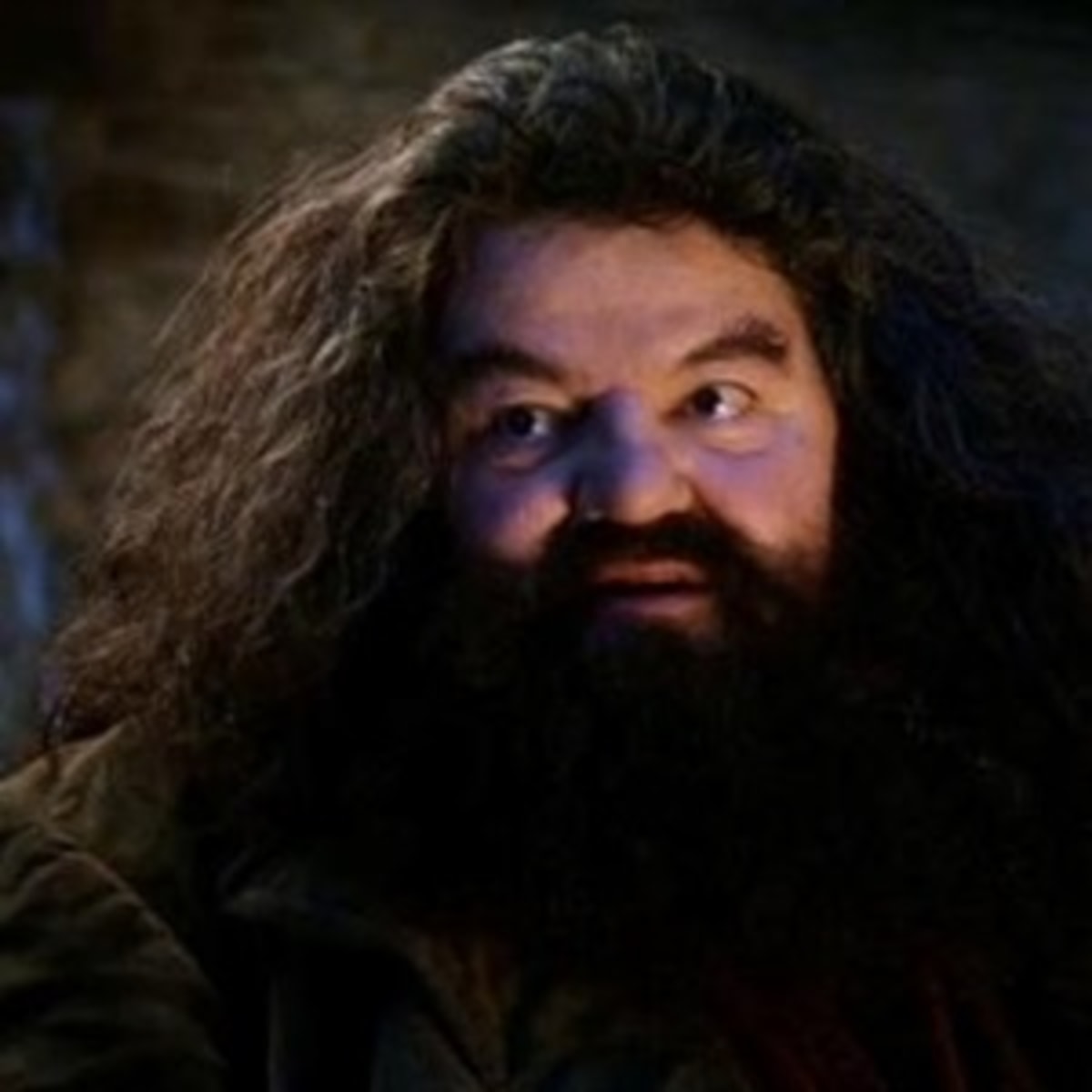 You're A Wizard Harry meme template