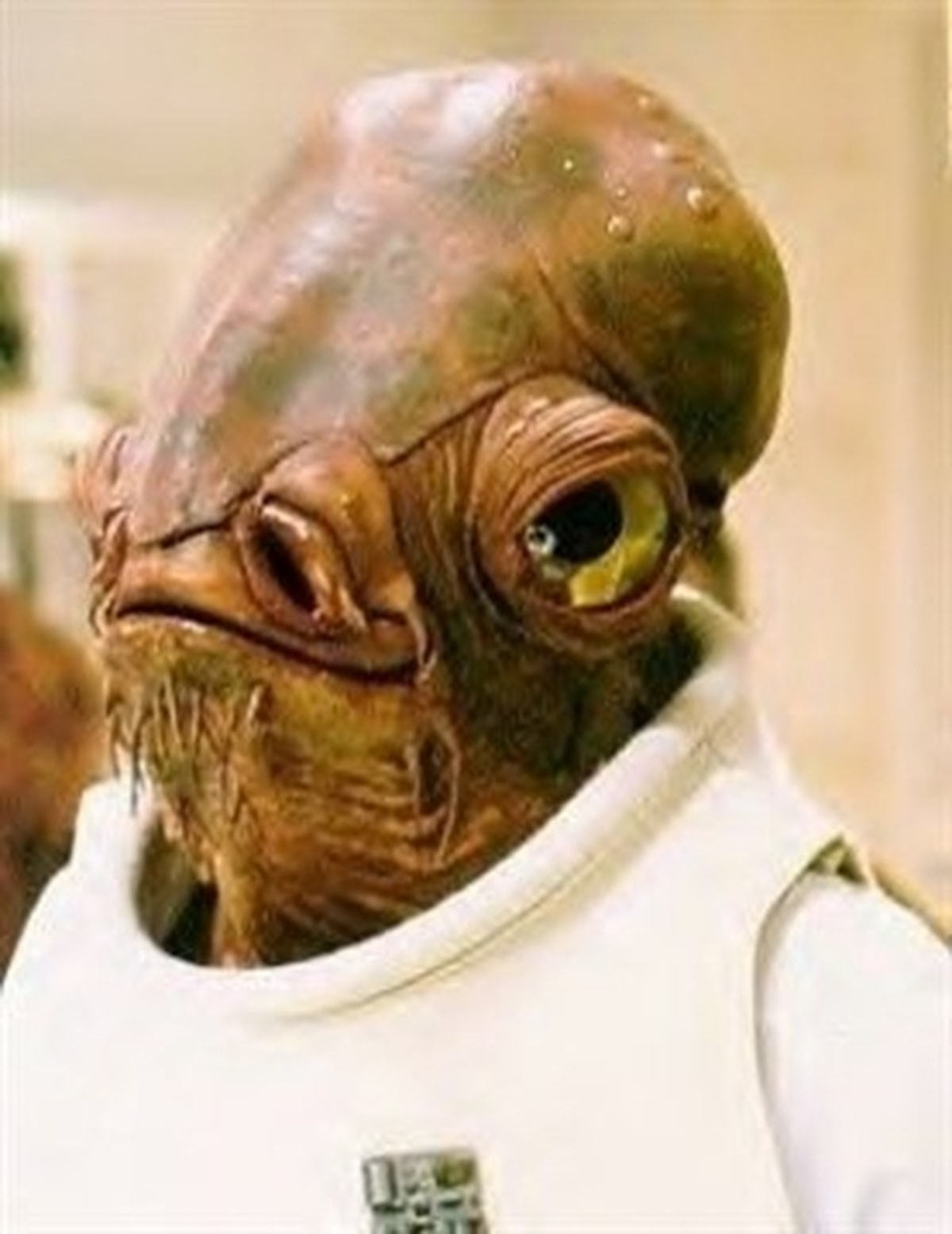 It's A Trap! meme template
