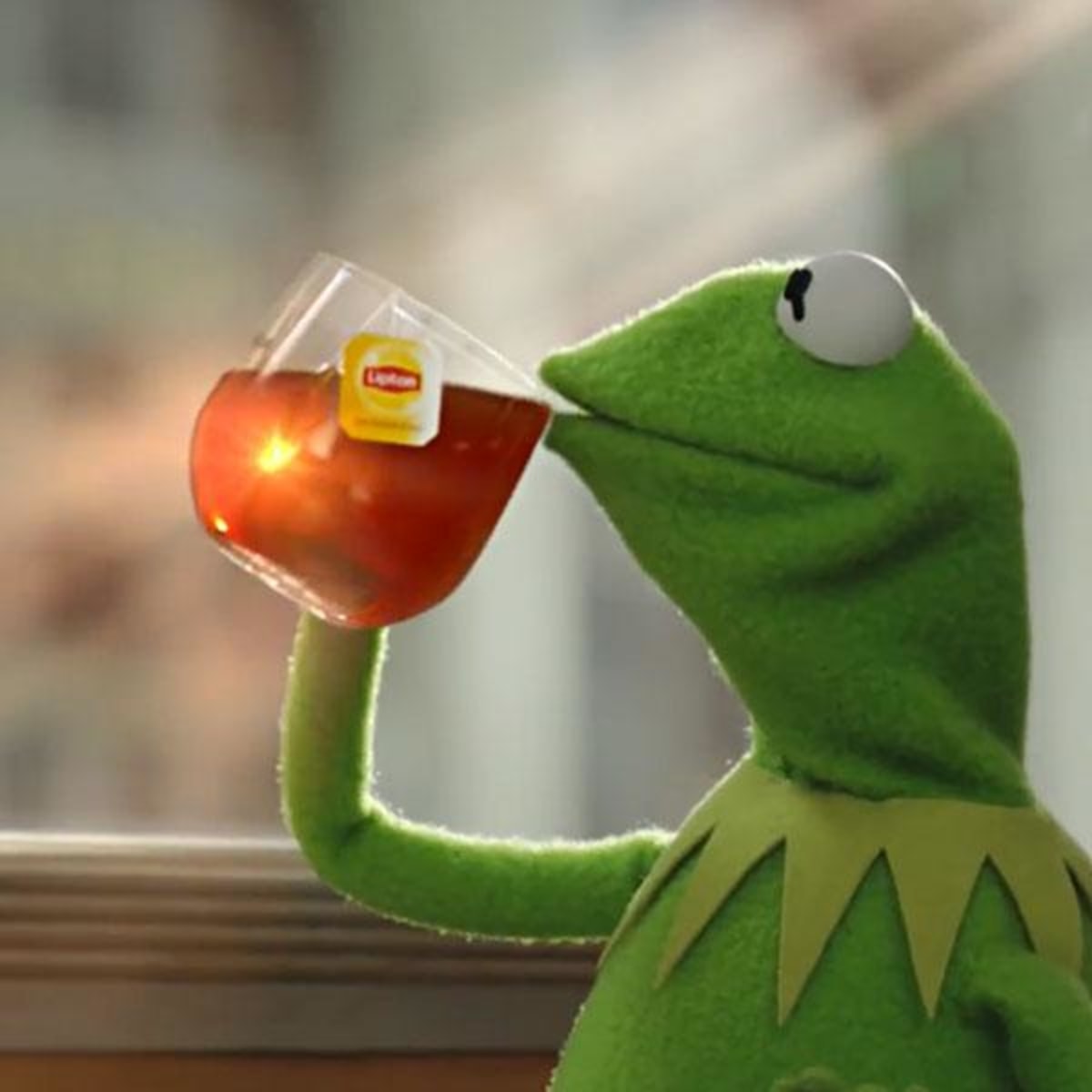 But That's None Of My Business meme template: Kermit the Frog sips tea while looking judgmental or smug.