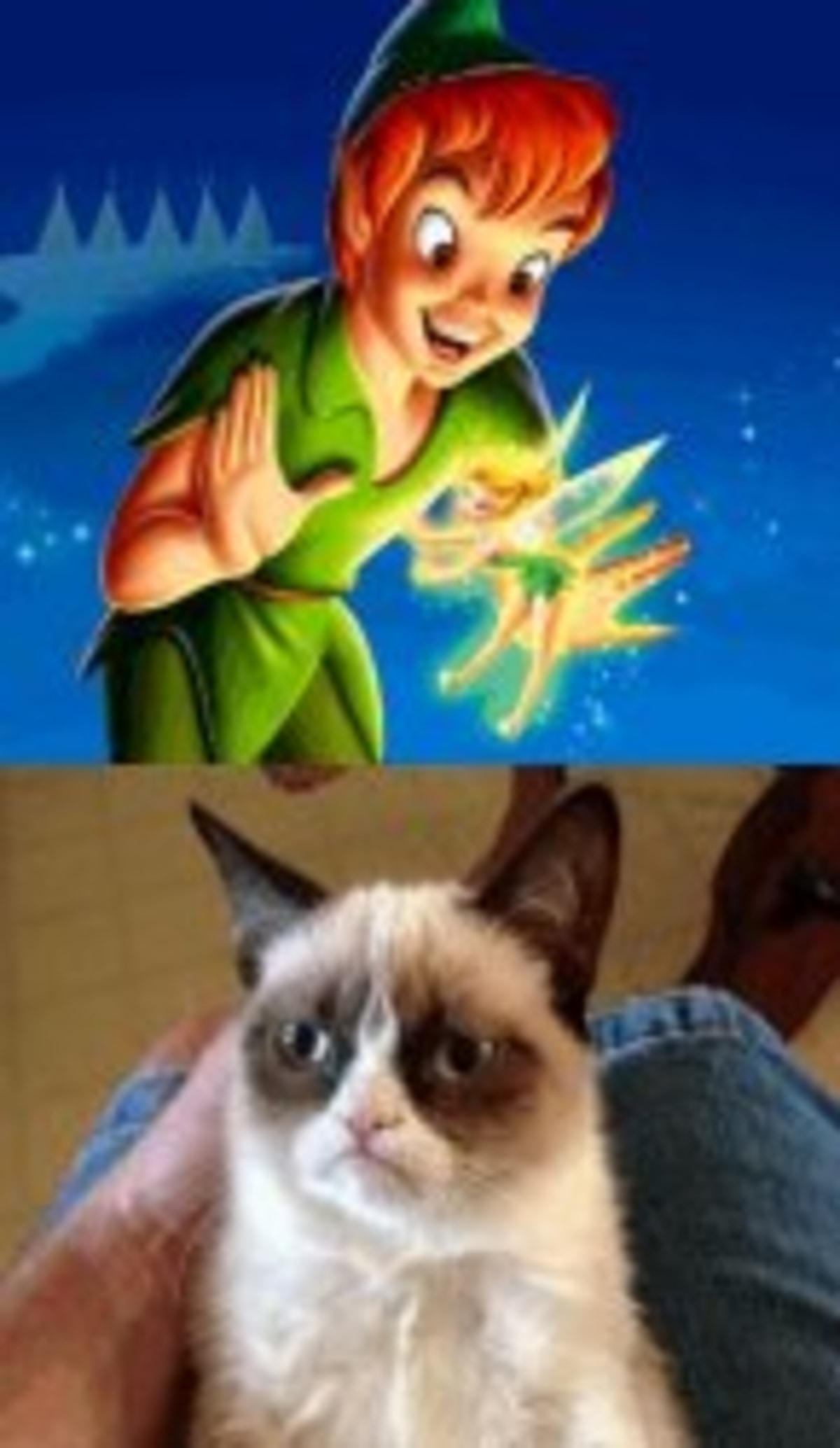 Grumpy Cat Does Not Believe meme template