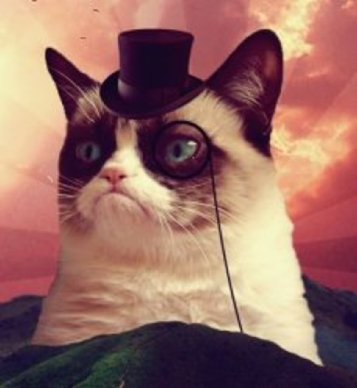 Grumpy Cat Top Hat meme template