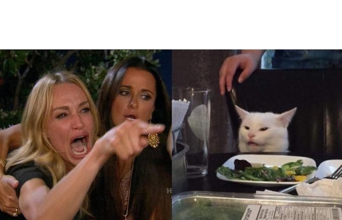 Woman Yelling At A Cat meme template: A split scene pairs an emotional argument with a white cat sitting at a dinner table, creating a sharp contrast between the two reactions.