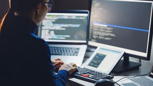 Illustration of a software vulnerability. Credit: Shutterstock