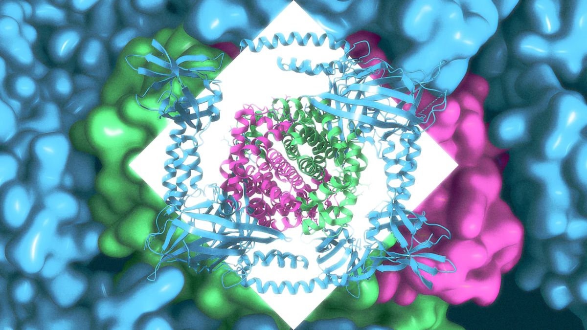 An image illustrating the intricate process of molecular design, reflecting AI's role in creating novel compounds for medical applications. Credit: Adobe Stock