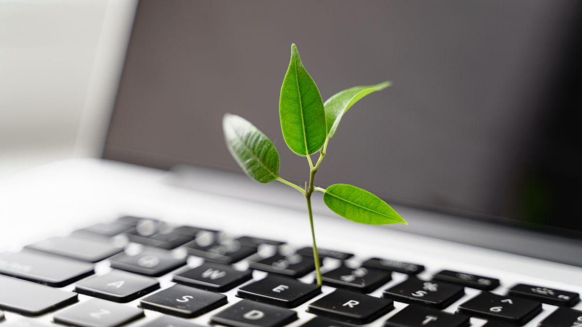 An illustration of sustainable technology, combining natural elements with digital interfaces. Credit: Shutterstock