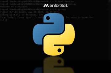 How To Run Python Script In Terminal? Updated Guide 2025