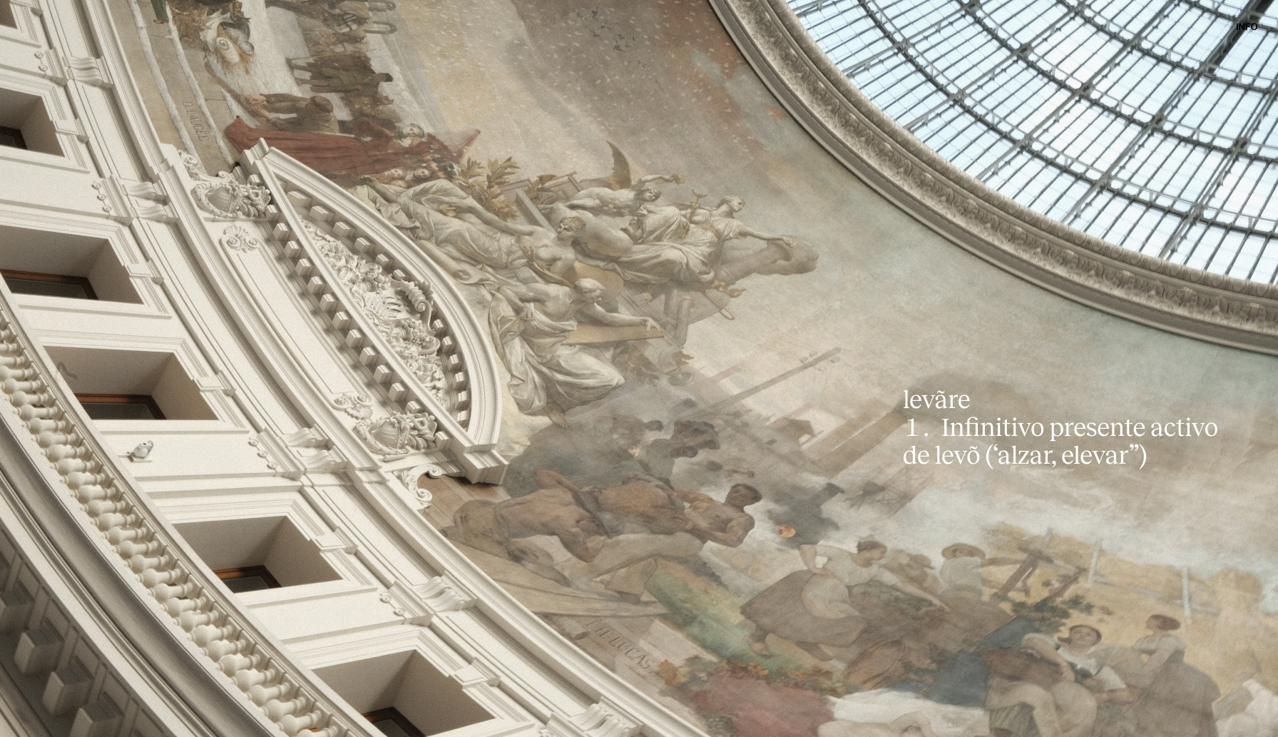 Levare: Brand Strategy by The Shelter Creative