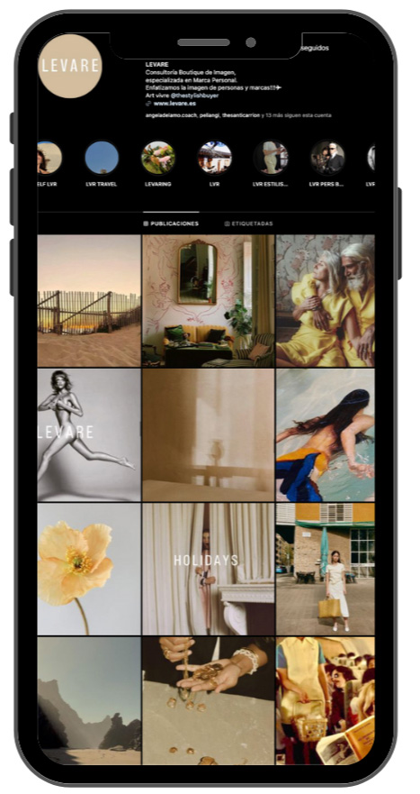 Levare: Brand Strategy by The Shelter Creative
