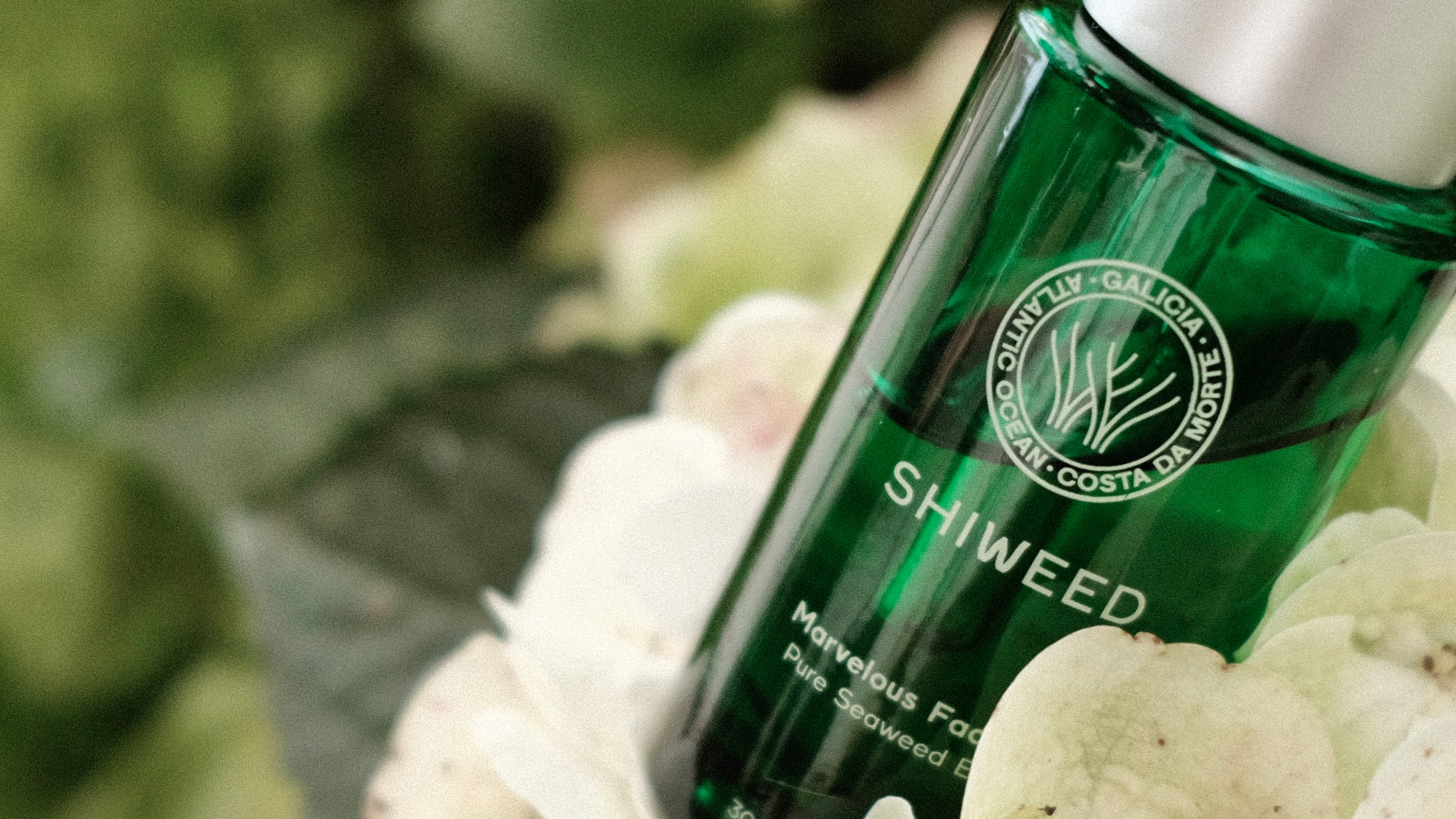 Shiweed: Brand Strategy by The Shelter Creative