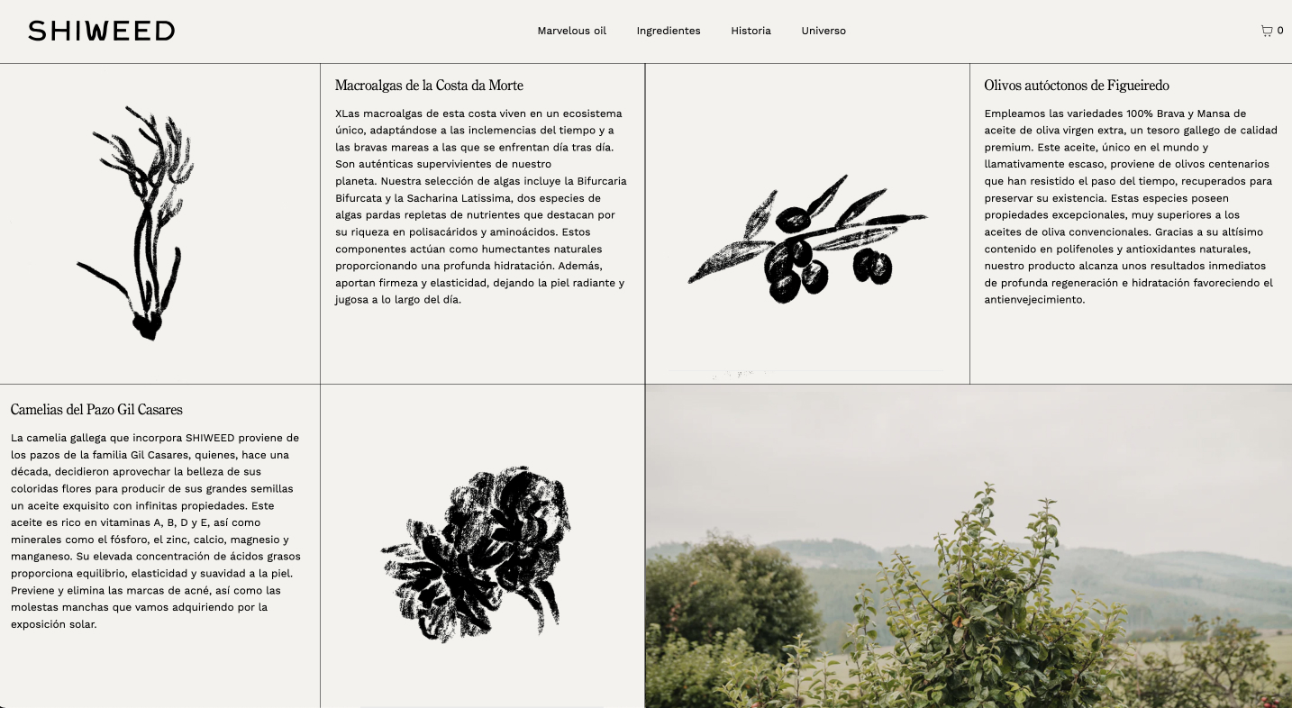 Shiweed: Brand Strategy by The Shelter Creative