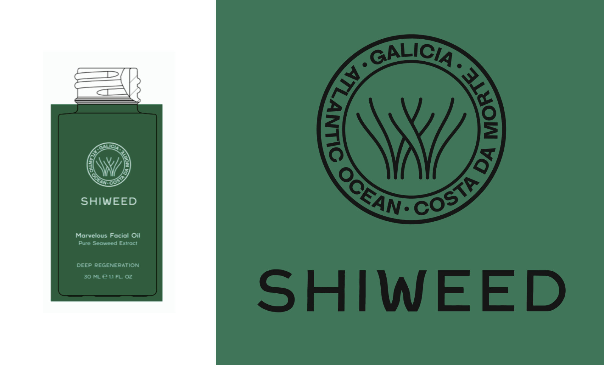 Shiweed: Brand Strategy by The Shelter Creative