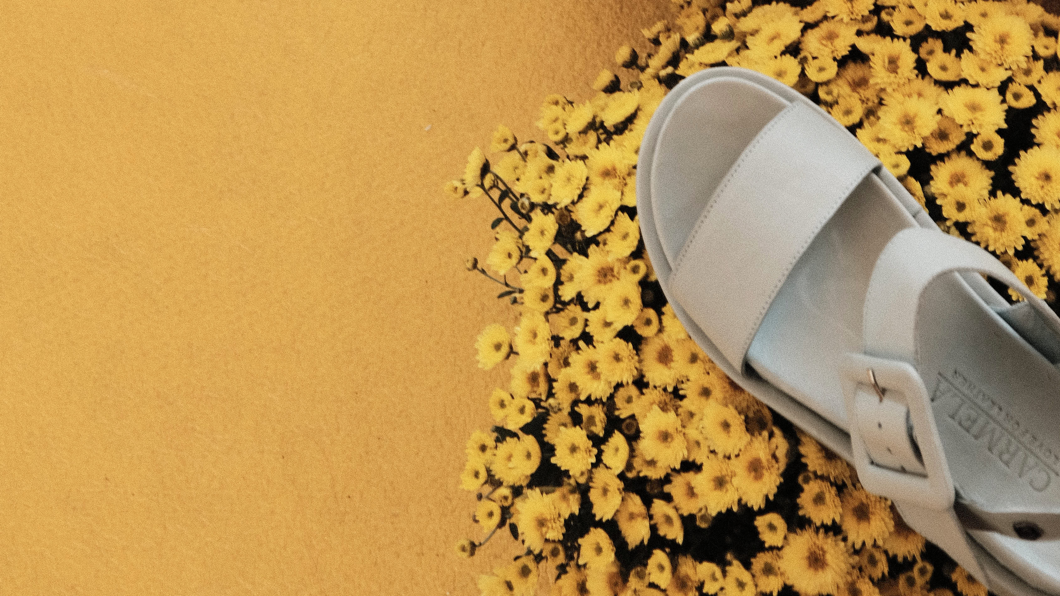 XTI Shoes: Events & Experiential by The Shelter Creative