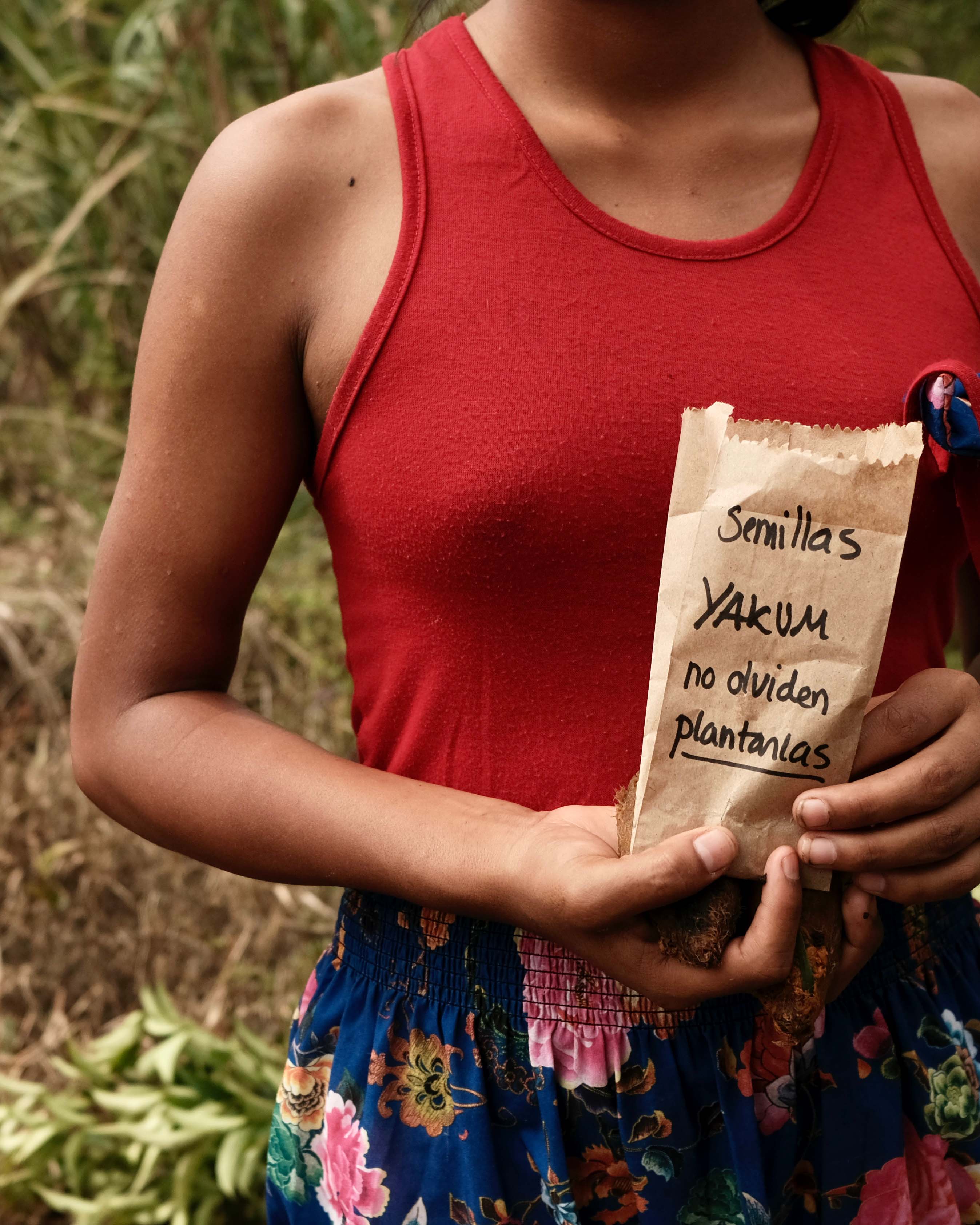 Yakum: Brand Strategy by The Shelter Creative