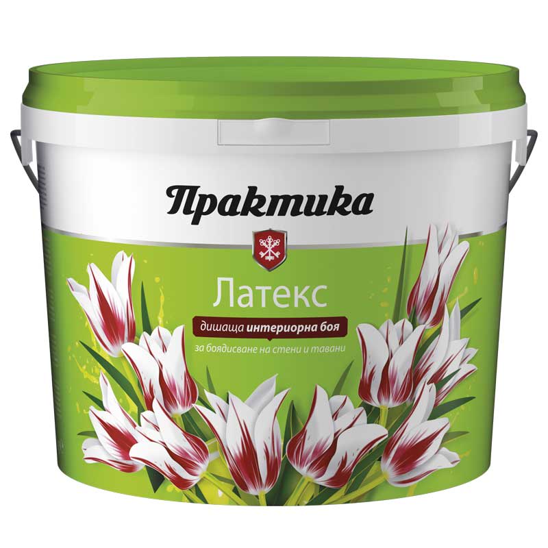ПРАКТИКА ЛАТЕКС