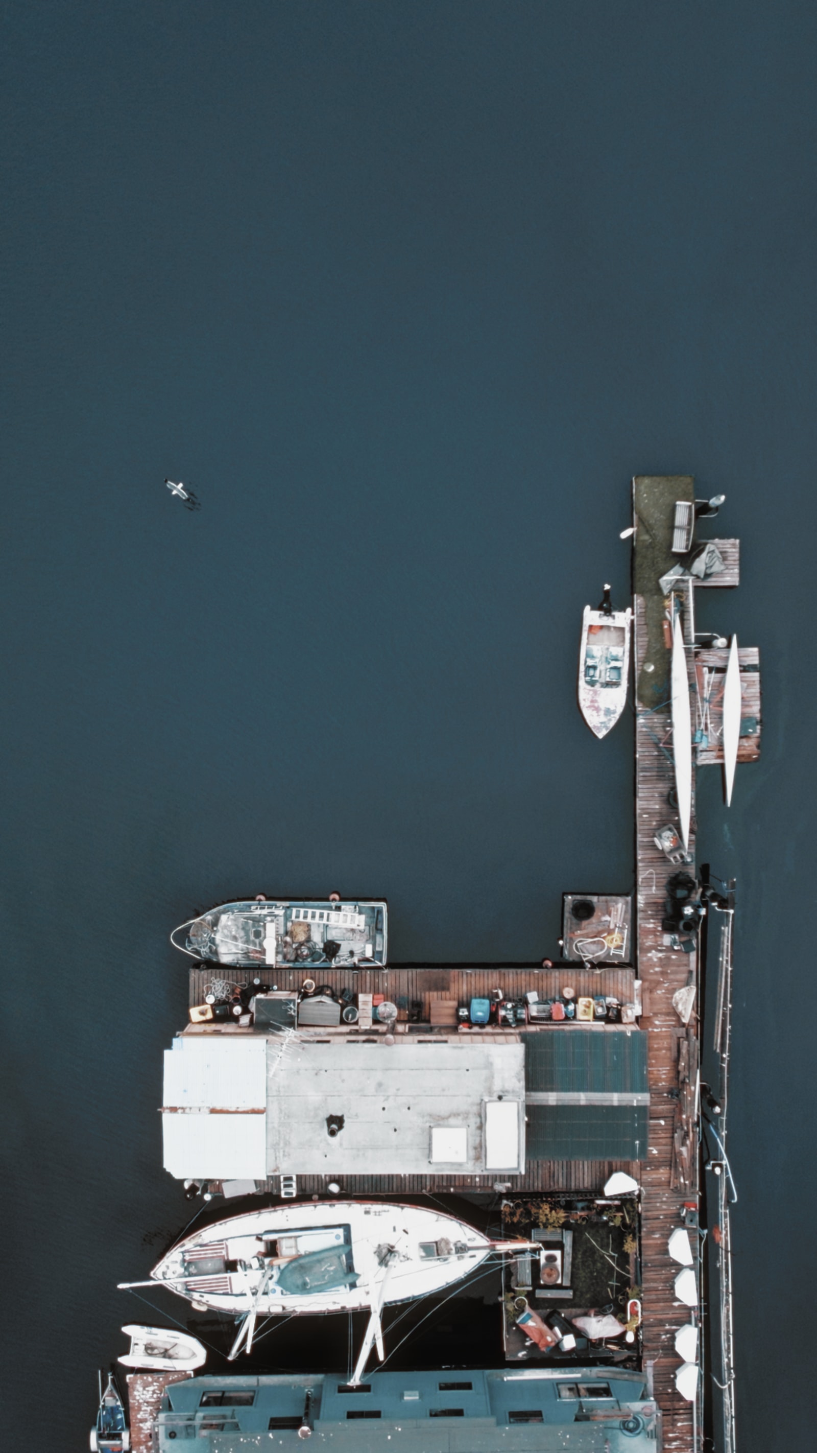 Mission Bay drone view