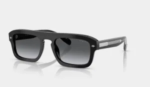 VO5620S  #Polar 2